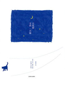 天亮前寻找一只猫