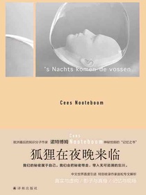 狐狸在夜晚来临（诺特博姆作品）