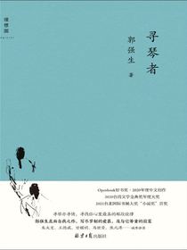 寻琴者
