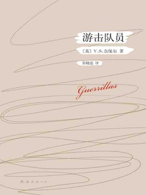 游击队员