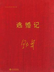 逃婚记