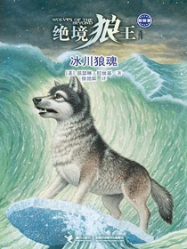 冰川狼魂