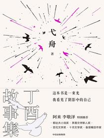 丁酉故事集