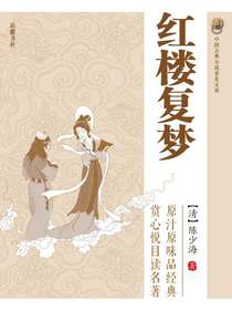 红楼复梦