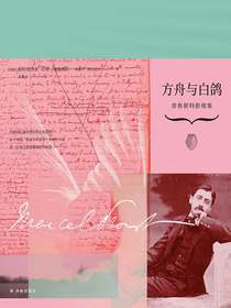 方舟与白鸽：普鲁斯特影像集