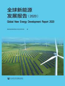 全球新能源发展报告（2020）