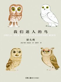 我们迷人的鸟