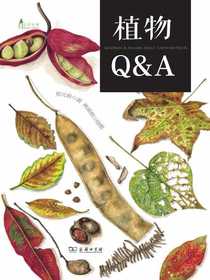 植物Q&A