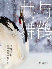 与鹤共舞：丹顶鹤的隐秘世界