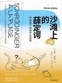 沙滩上的薛定谔：带着量子物理学去度假