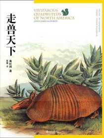 走兽天下