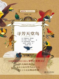 寻芳天堂鸟