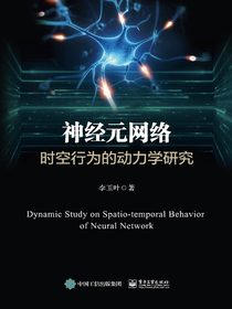 神经元网络时空行为的动力学研究