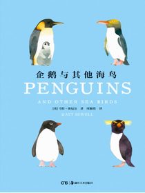 企鹅与其他海鸟