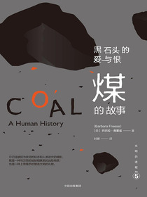 黑石头的爱与恨：煤的故事