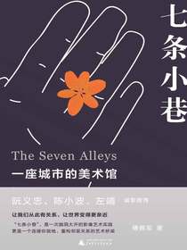 七条小巷：一座城市的美术馆