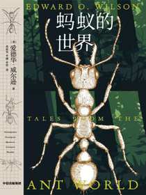 蚂蚁的世界