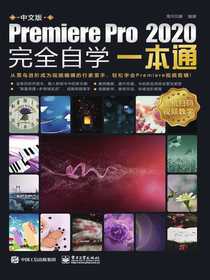中文版PremierePro2020完全自学一本通