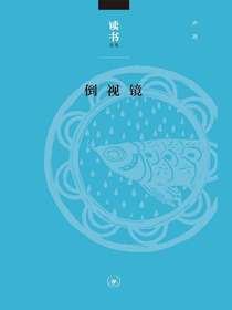 倒视镜