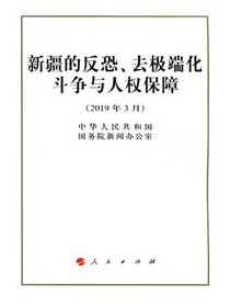 新疆的反恐、去极端化斗争与人权保障