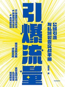 引爆流量：公域引流与私域裂变实战手册
