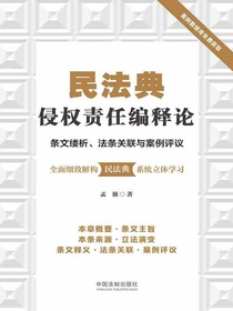 民法典侵权责任编释论：条文缕析、法条关联与案例评议