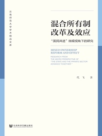 混合所有制改革及效应：“国民共进”微观视角下的研究