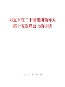 习近平在二十国集团领导人第十五次峰会上的讲话