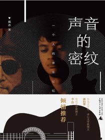 声音的密纹：一个人的音乐记忆