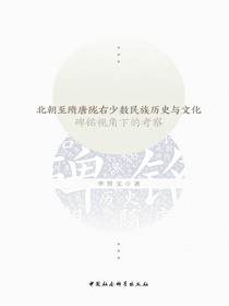北朝至隋唐陇右少数民族历史与文化：碑铭视角下的考察