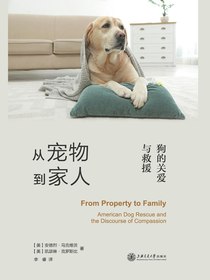 从宠物到家人：狗的关爱与救援
