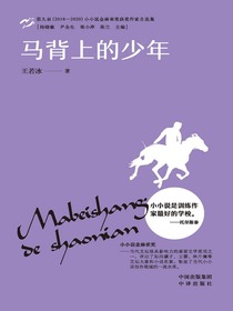 马背上的少年