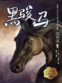 沈石溪挚爱动物小说系列·3：黑骏马