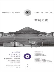 智利之夜