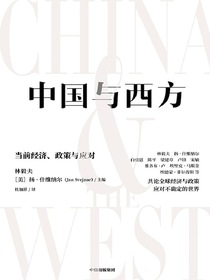 中国与西方：当前经济、政策与应对