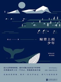 鲸背上的少年