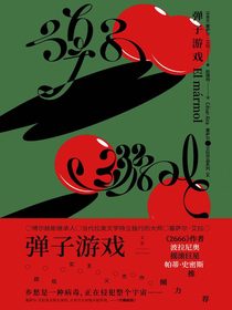 弹子游戏