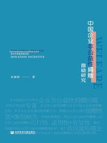 中国企业非公益性捐赠激励研究