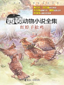 红脖子松鸡