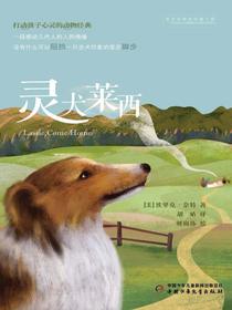 灵犬莱西