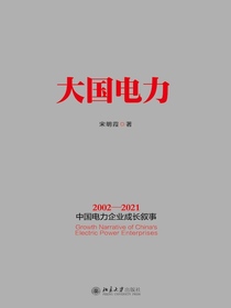 大国电力