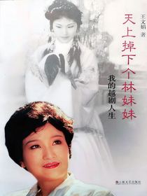 天上掉下个林妹妹：我的越剧人生