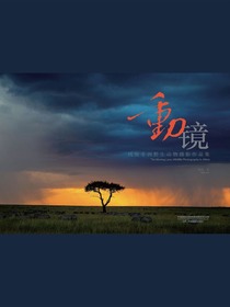 动镜：钱俊非洲野生动物摄影作品集