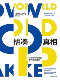拼凑真相：认清纷繁世界的十大数据法则