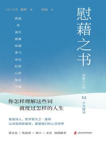 慰藉之书