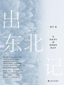 出东北记：从东北书写到算法时代的文学