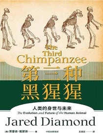 第三种黑猩猩