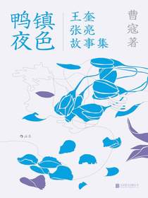 鸭镇夜色：王奎张亮故事集