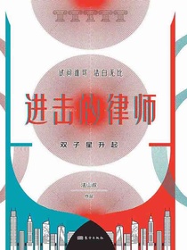 进击的律师：双子星升起