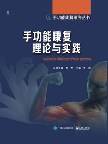 手功能康复理论与实践